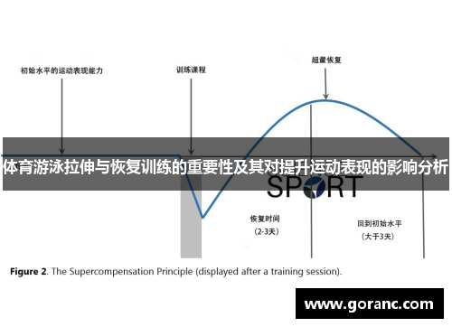 体育游泳拉伸与恢复训练的重要性及其对提升运动表现的影响分析