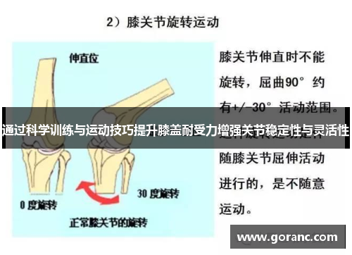 通过科学训练与运动技巧提升膝盖耐受力增强关节稳定性与灵活性