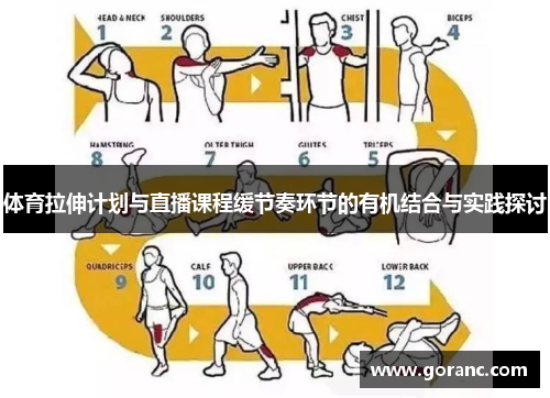 体育拉伸计划与直播课程缓节奏环节的有机结合与实践探讨