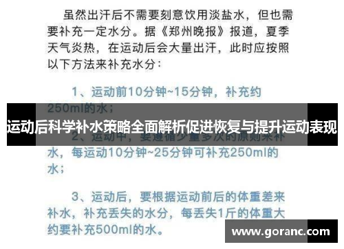 运动后科学补水策略全面解析促进恢复与提升运动表现