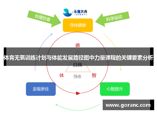 体育无氧训练计划与体能发展路径图中力量课程的关键要素分析